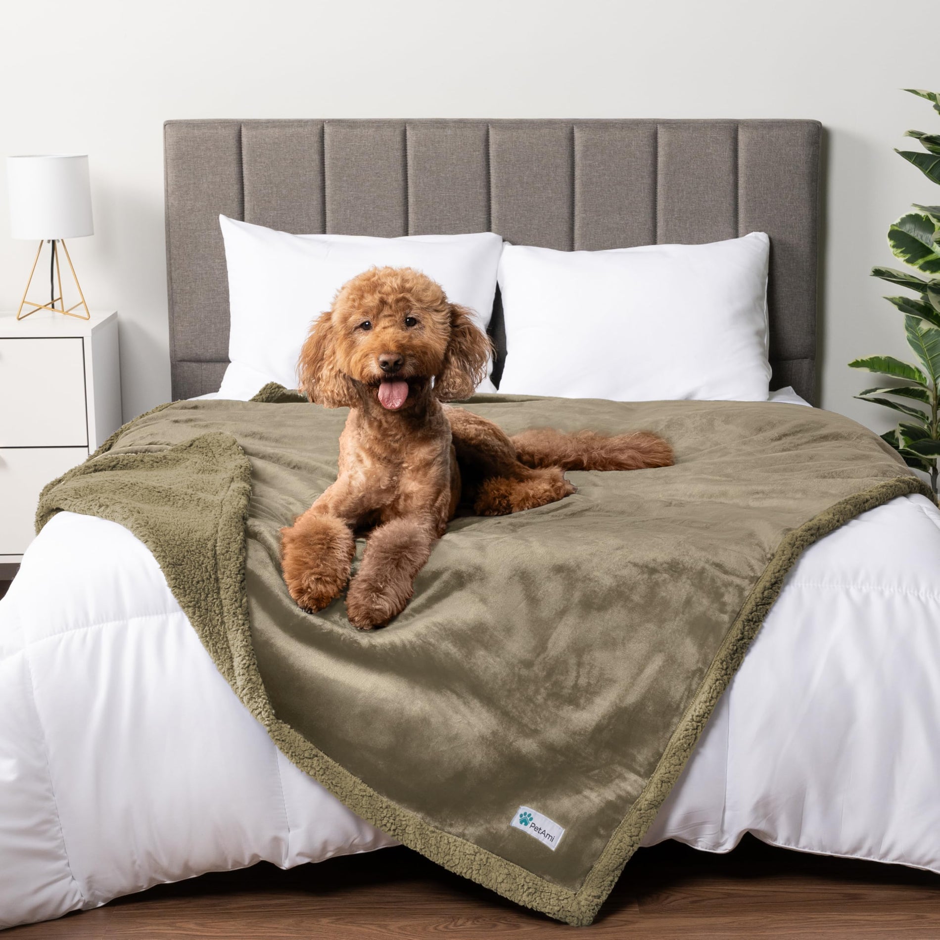 Waterproof Reversible Pet Blanket for Couch & Bed