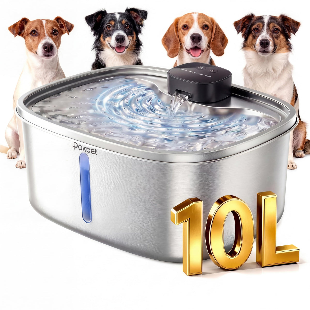 Automatic Dog Water Fountain