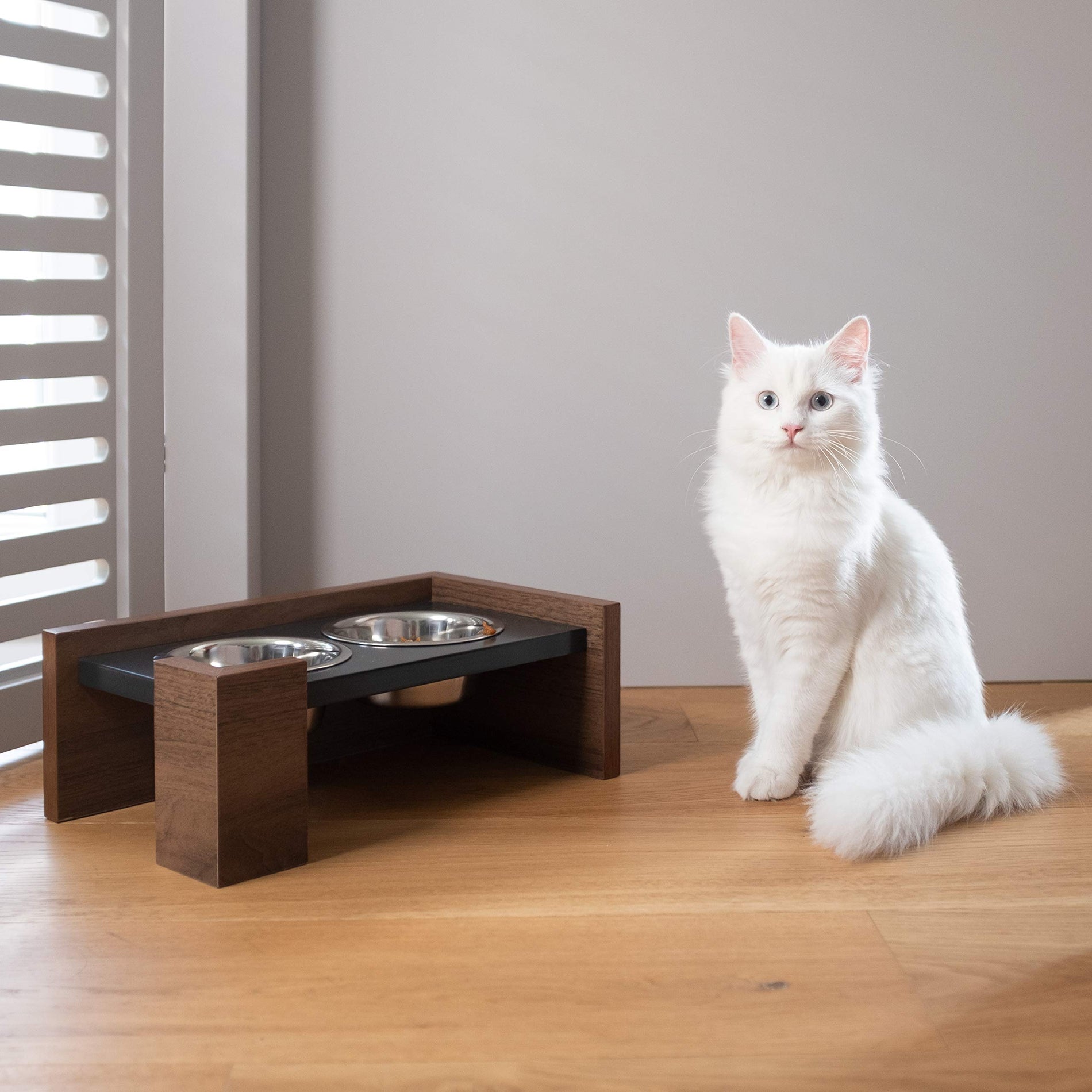 Raised Ergonomic Pet Bowl