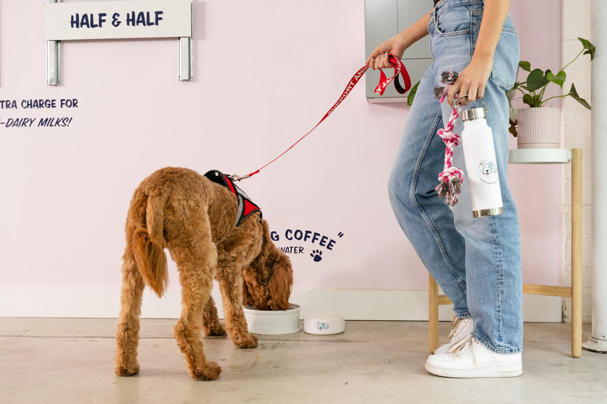 Heavy Duty Emotional Support Dog Leash