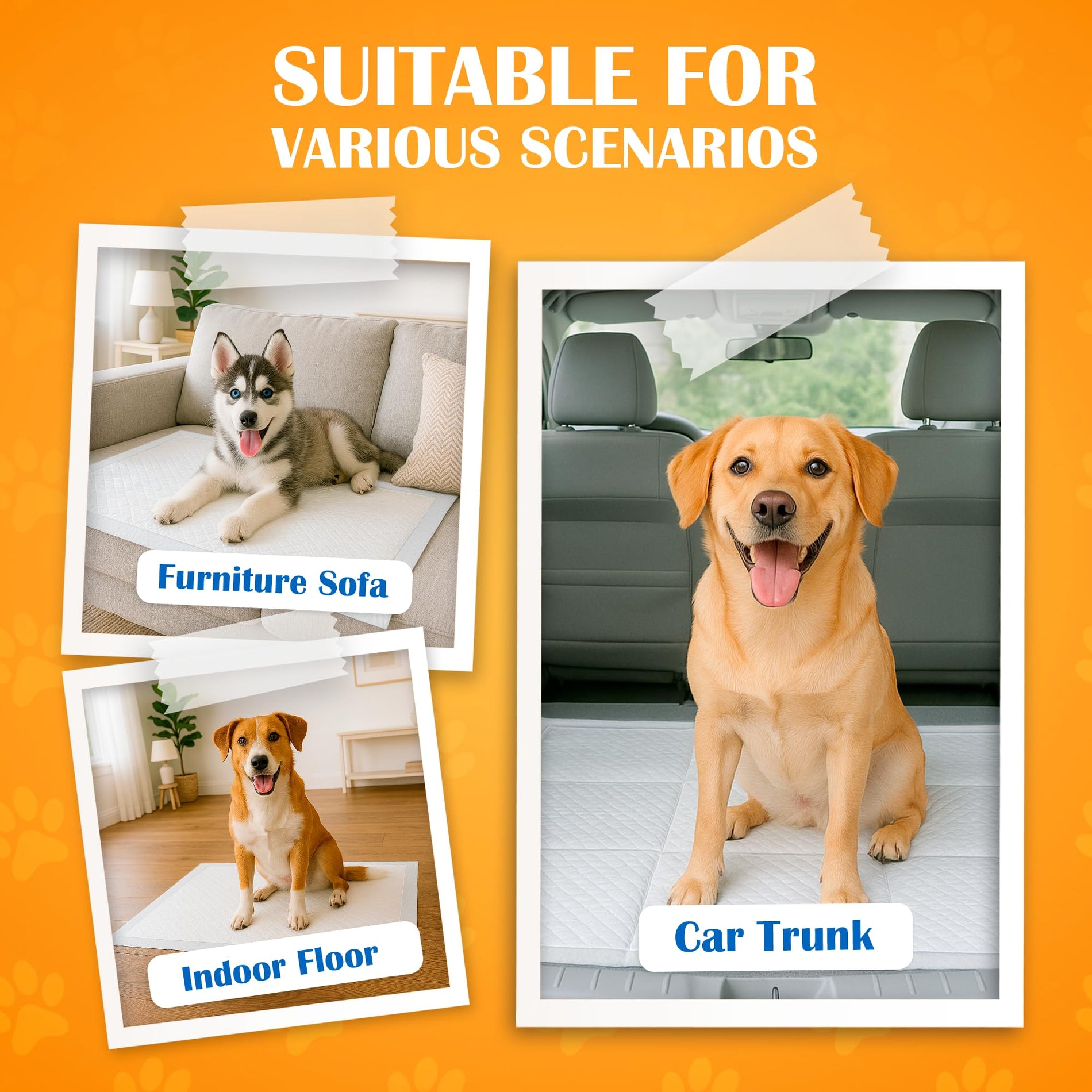 Paws & Claws Premium Dog Pee Pads