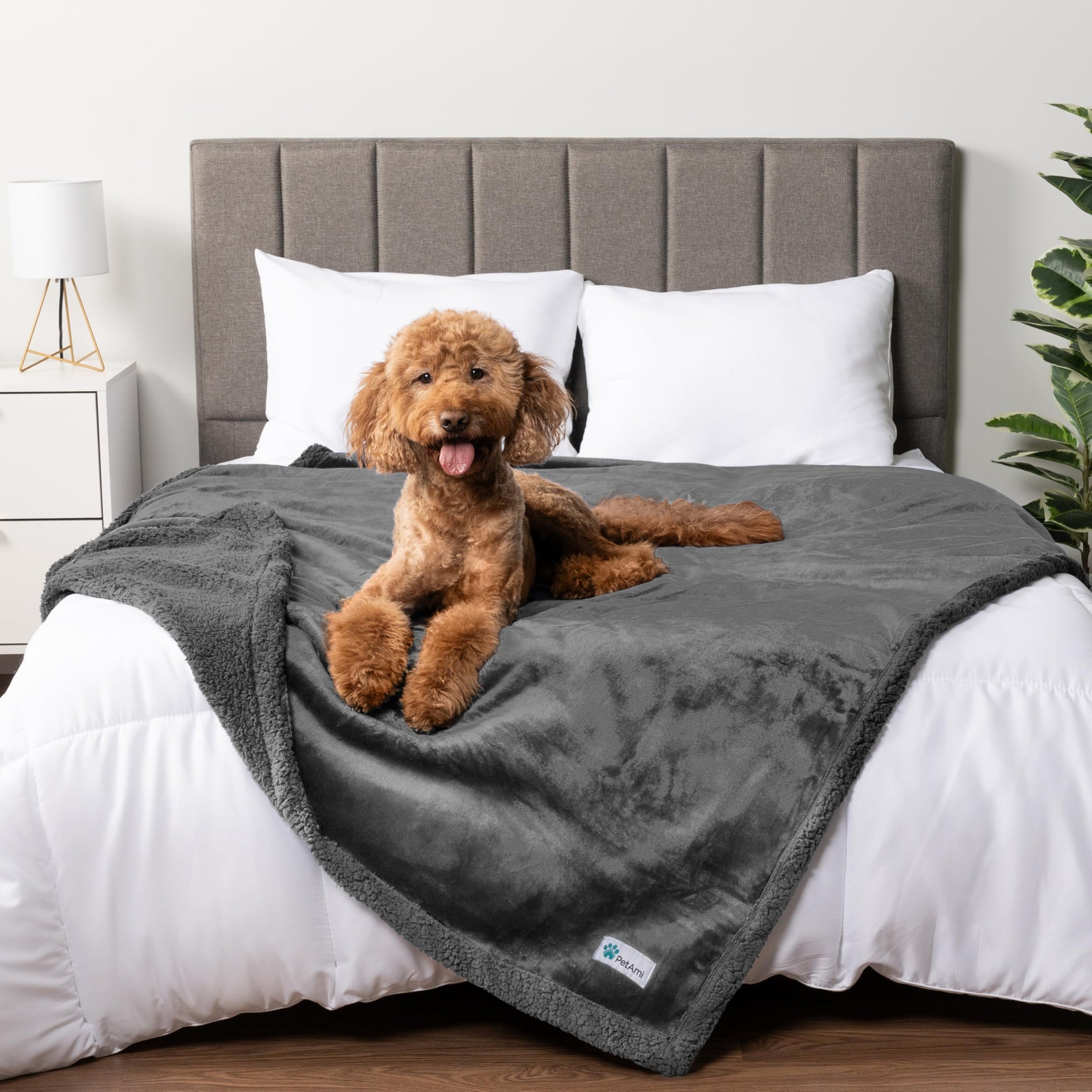 Waterproof Reversible Pet Blanket for Couch & Bed