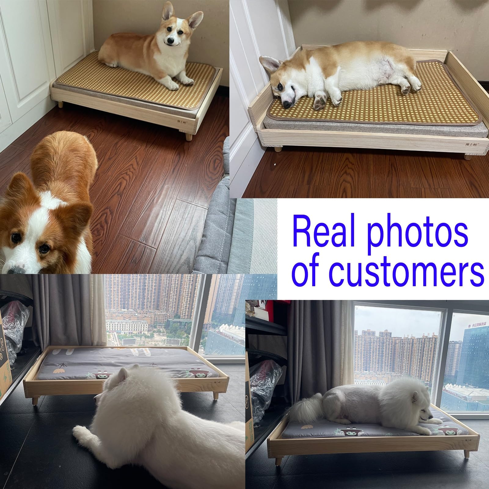 Elevated Wooden Pet Bed with Mattress