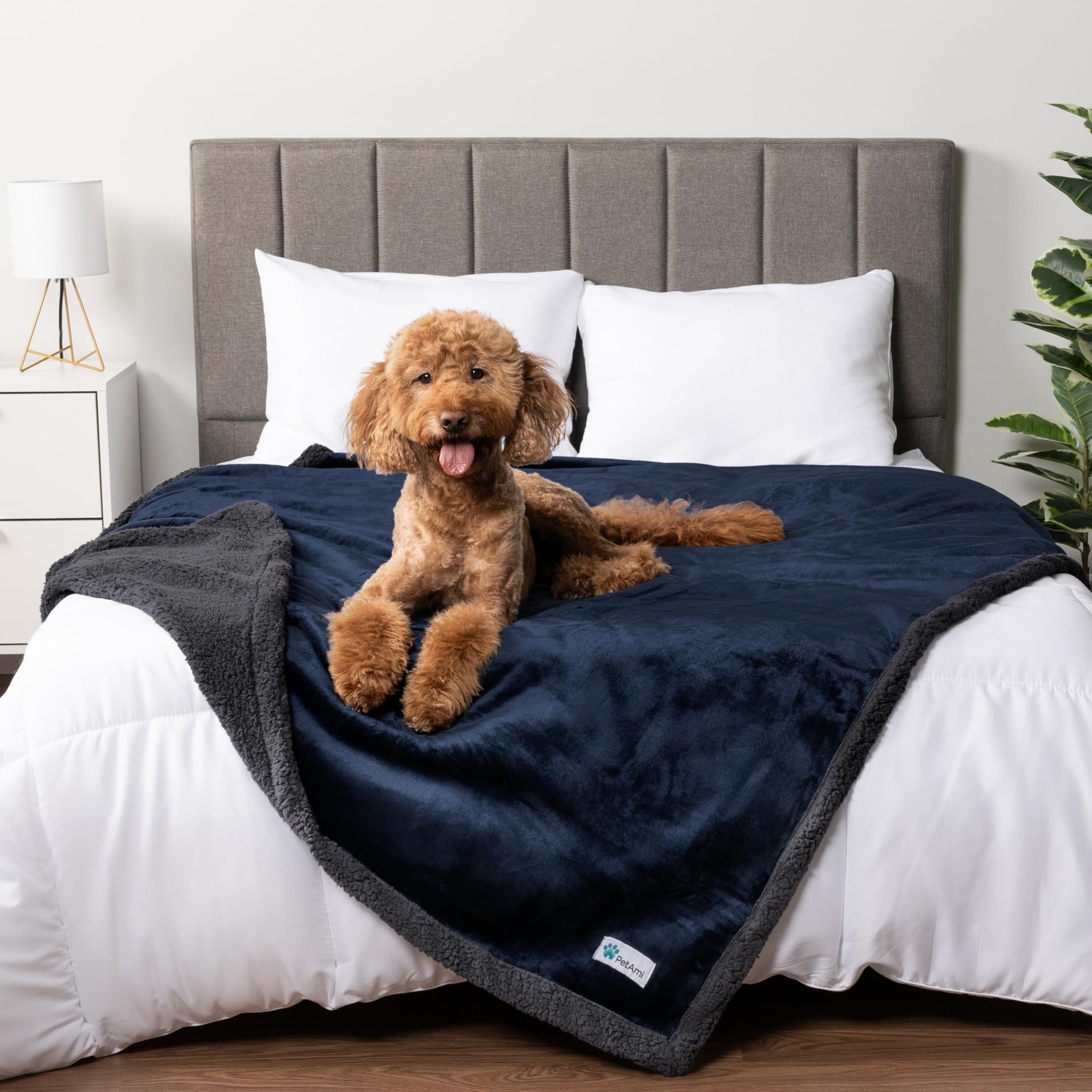 Waterproof Reversible Pet Blanket for Couch & Bed