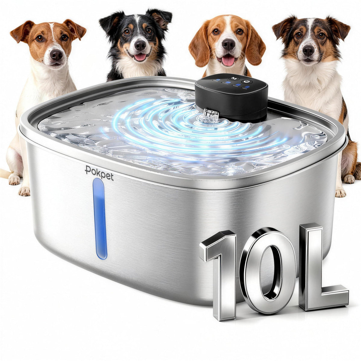 Automatic Dog Water Fountain