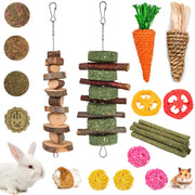 Natural Bunny Chew Toys & Treat Sticks