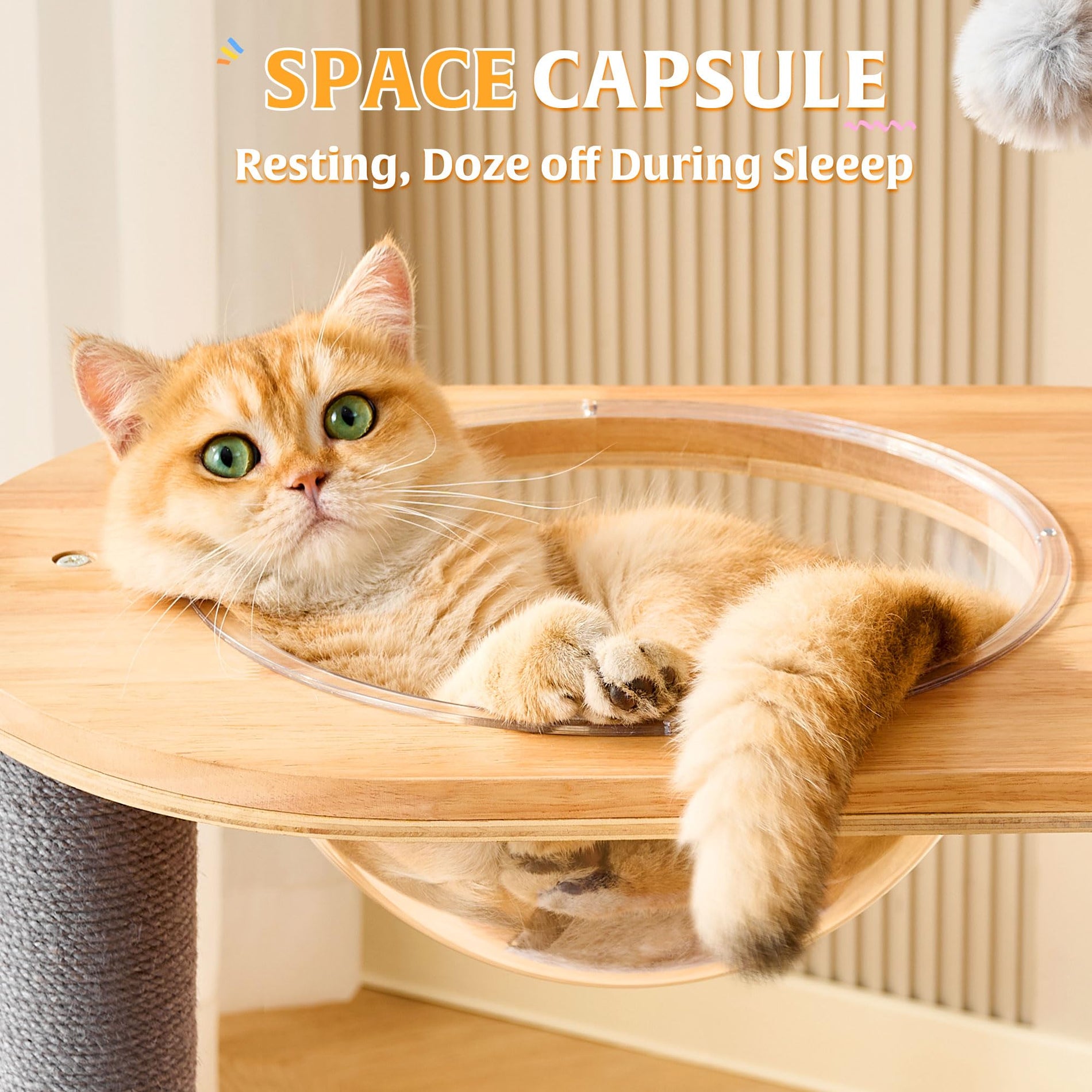 53" Solid Wood Cat Tree Tower with Space Capsule