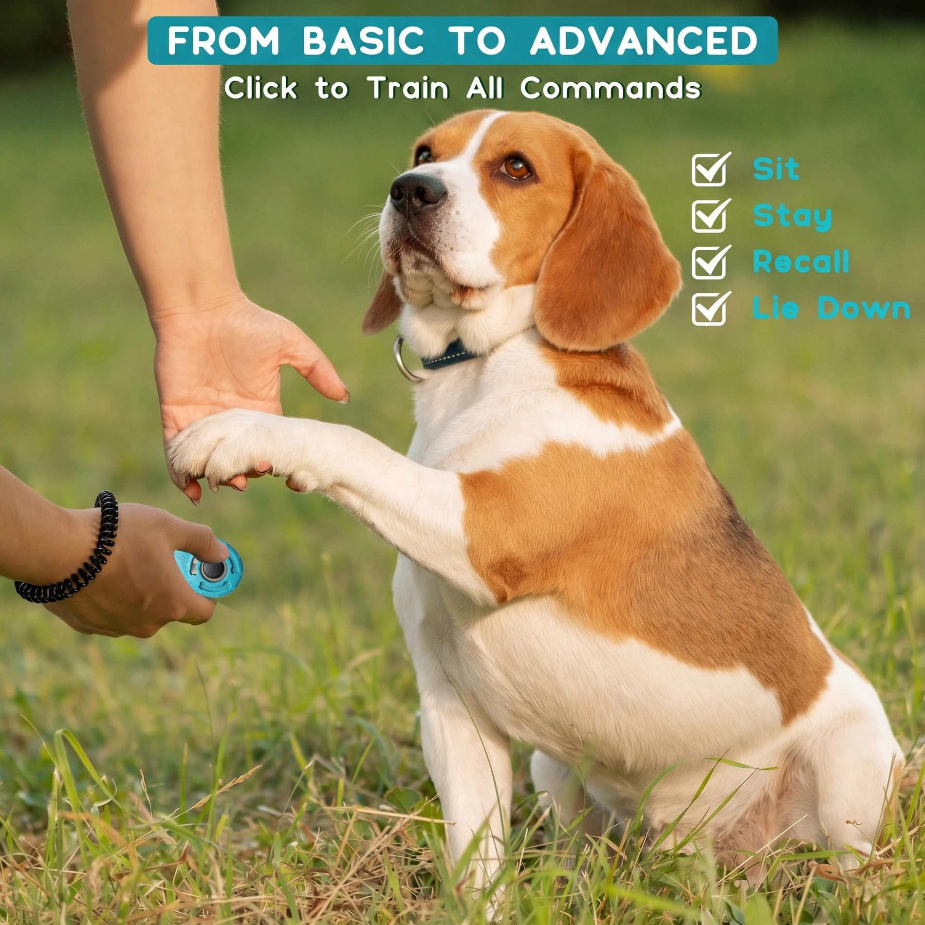 Pet Training Clicker with Wrist Strap