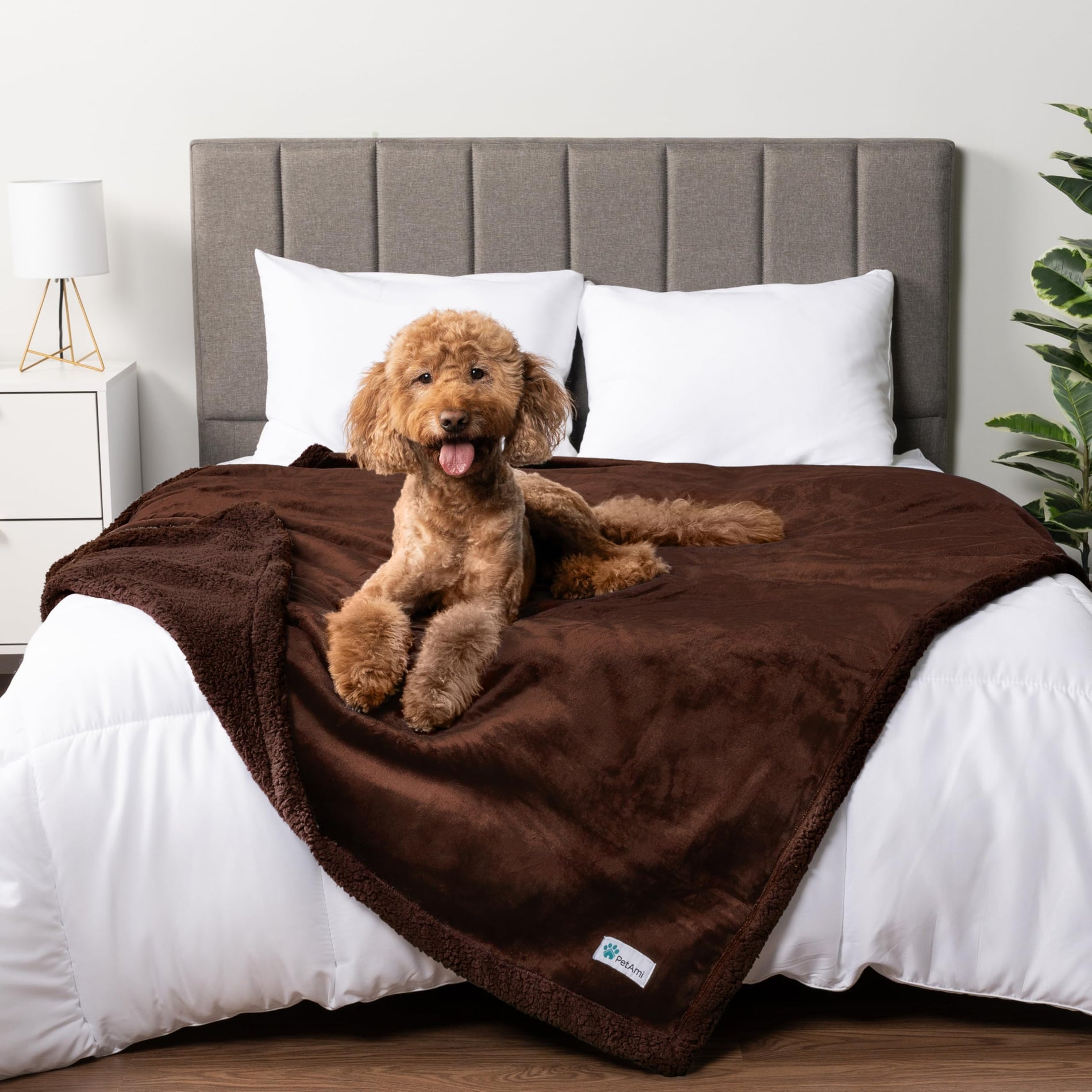 Waterproof Reversible Pet Blanket for Couch & Bed