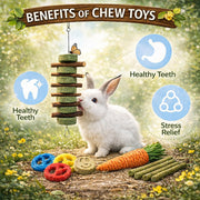 Natural Bunny Chew Toys & Treat Sticks