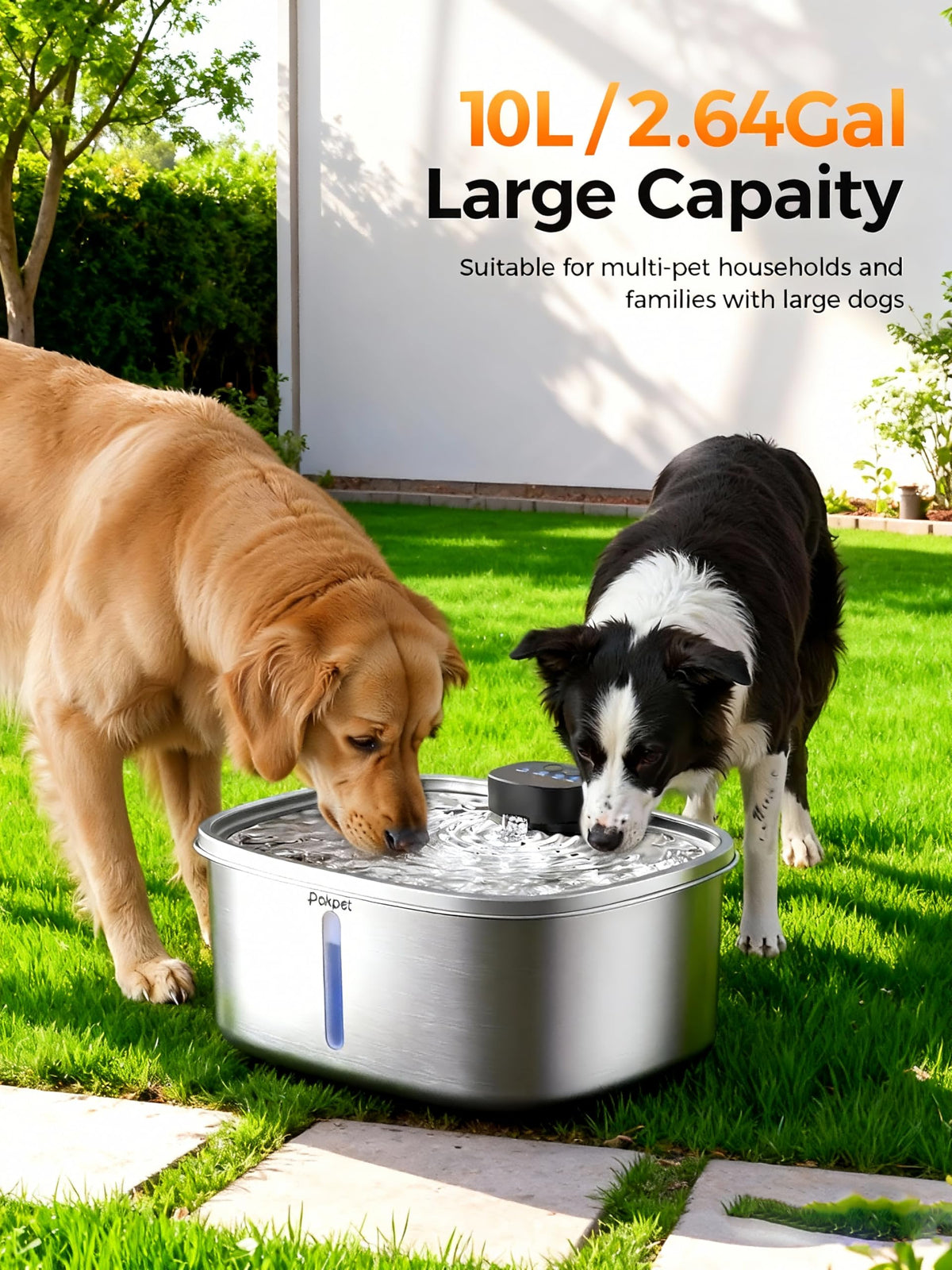Automatic Dog Water Fountain