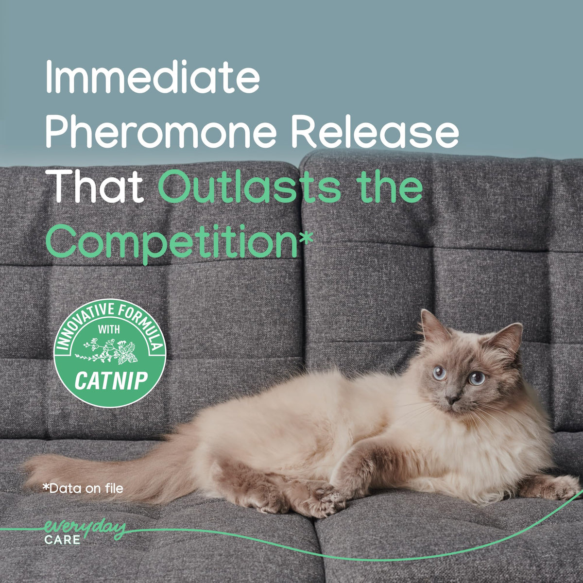 Cat Calming Gel Diffuser 2-Month Formula