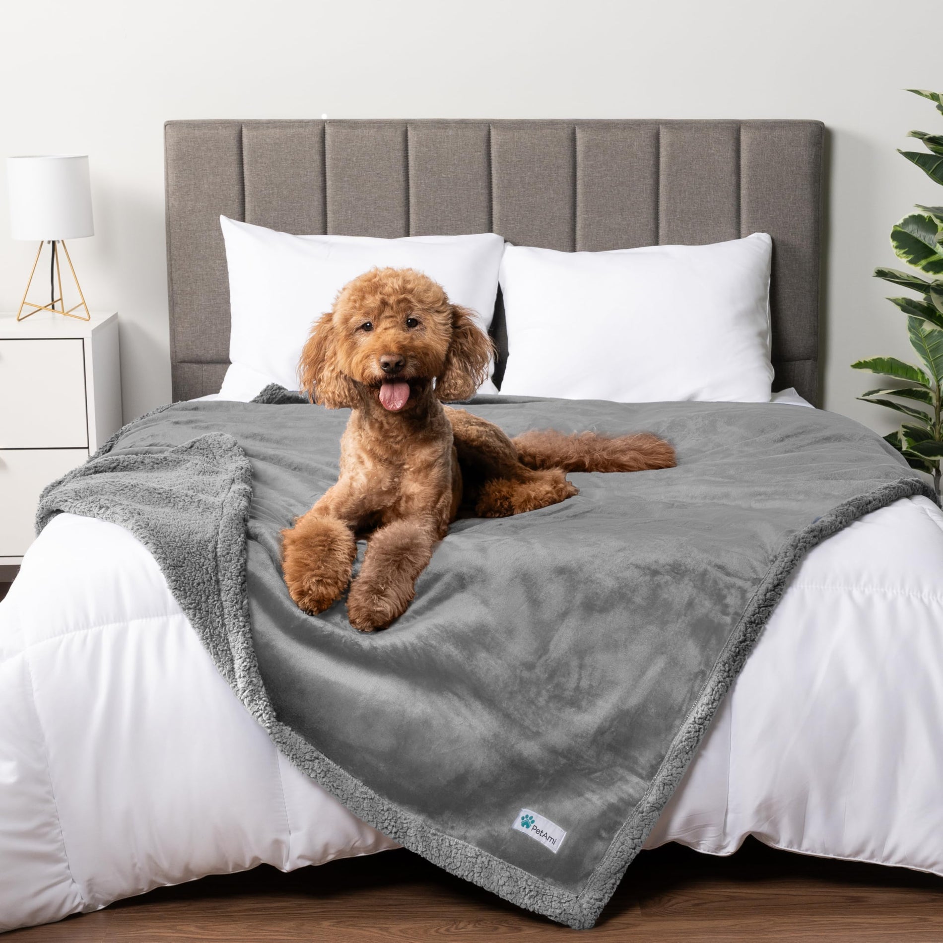 Waterproof Reversible Pet Blanket for Couch & Bed