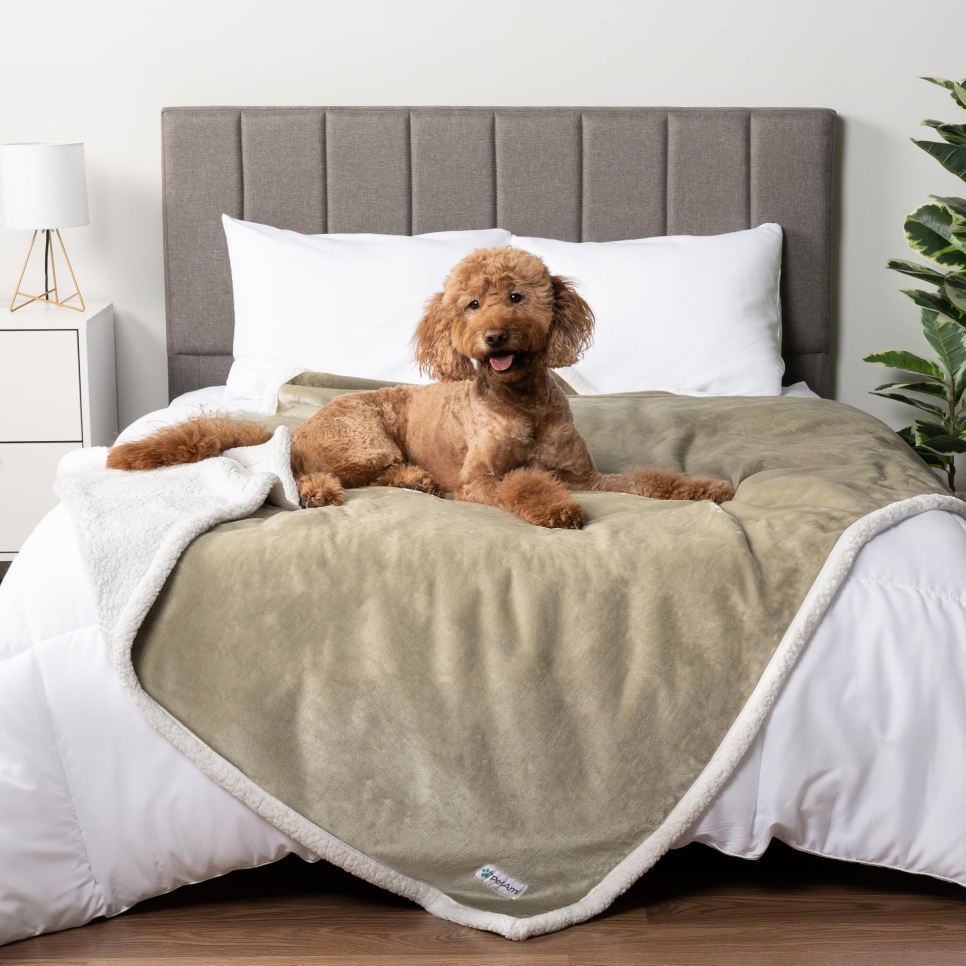 Waterproof Reversible Pet Blanket for Couch & Bed