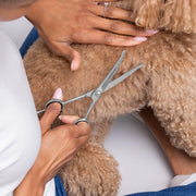 Tweezerman Dog Scissors