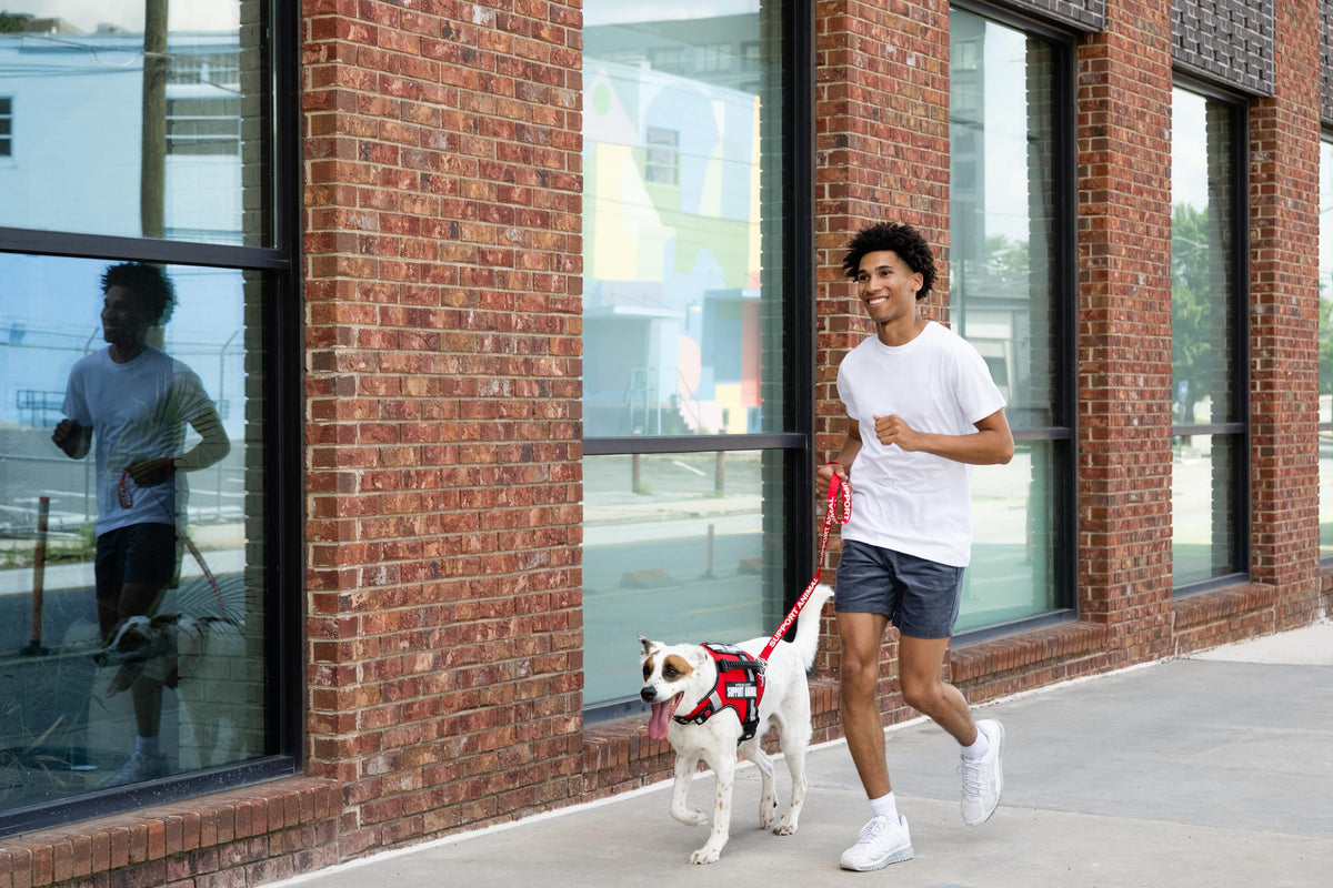 Heavy Duty Emotional Support Dog Leash