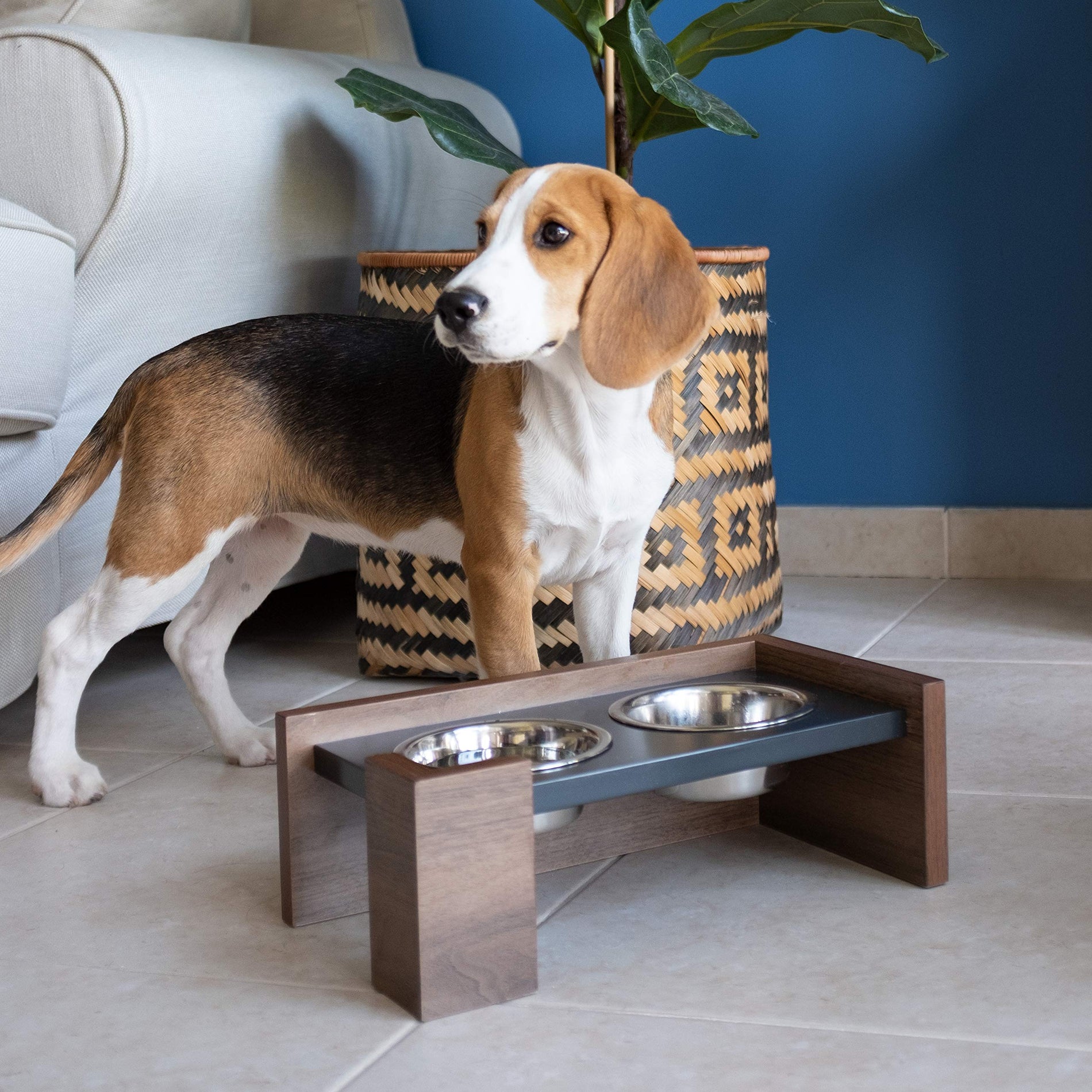 Raised Ergonomic Pet Bowl