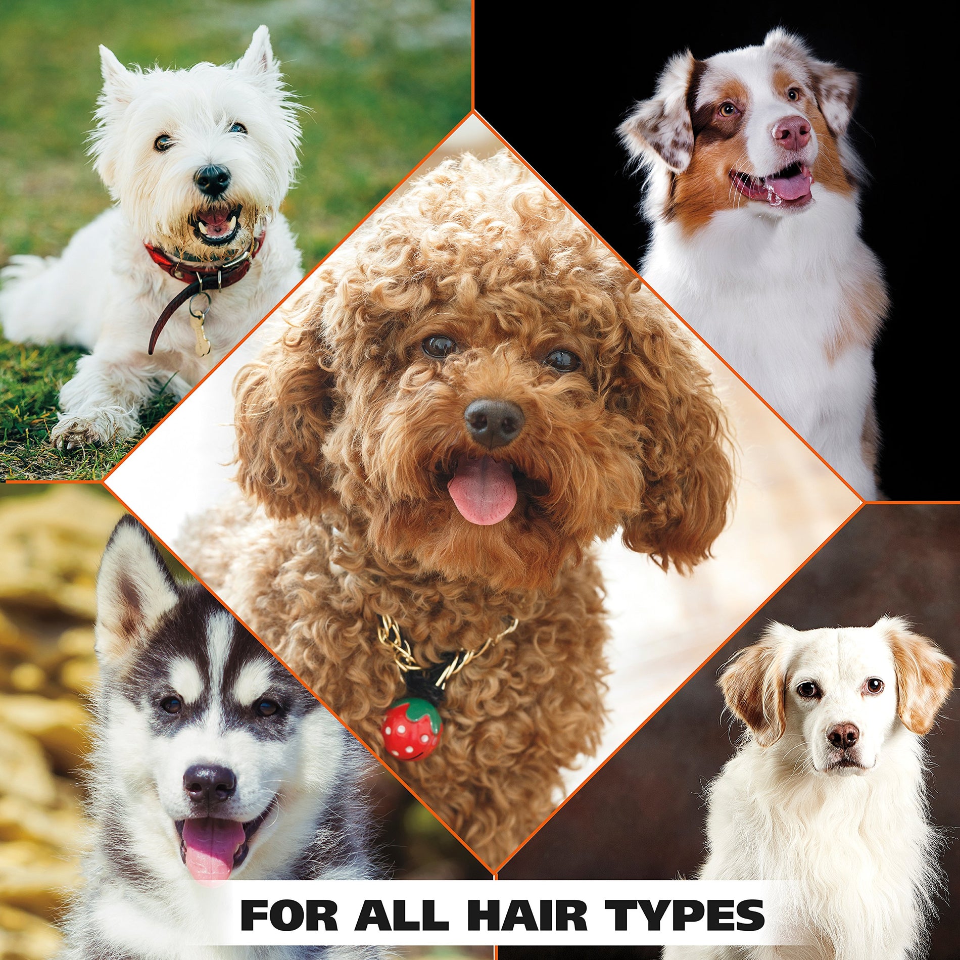 4-in-1 Calming Pet Shampoo with Lavender & Chamomile