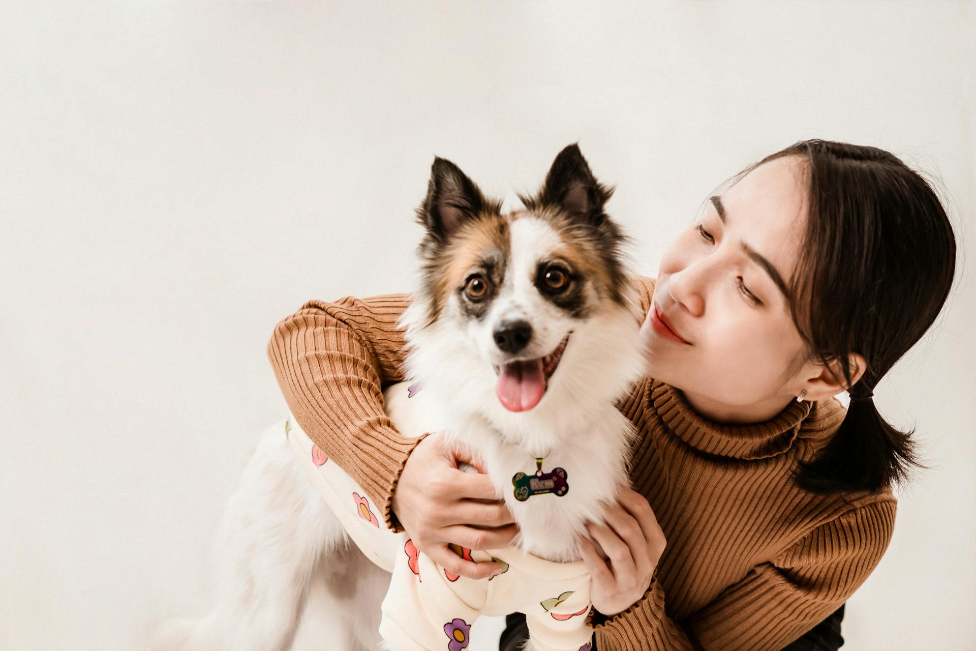 Pawtique pet care lifestyle scene